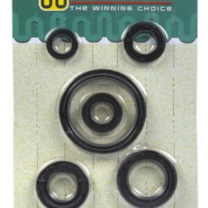 Juego retenes motor Honda cb1 /Twister 125  Wstandar