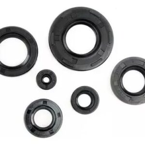 Retenes de motor AX100